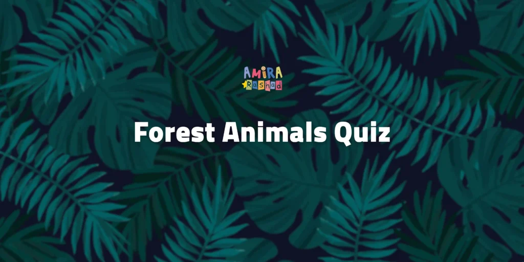 Forest Animals (101)